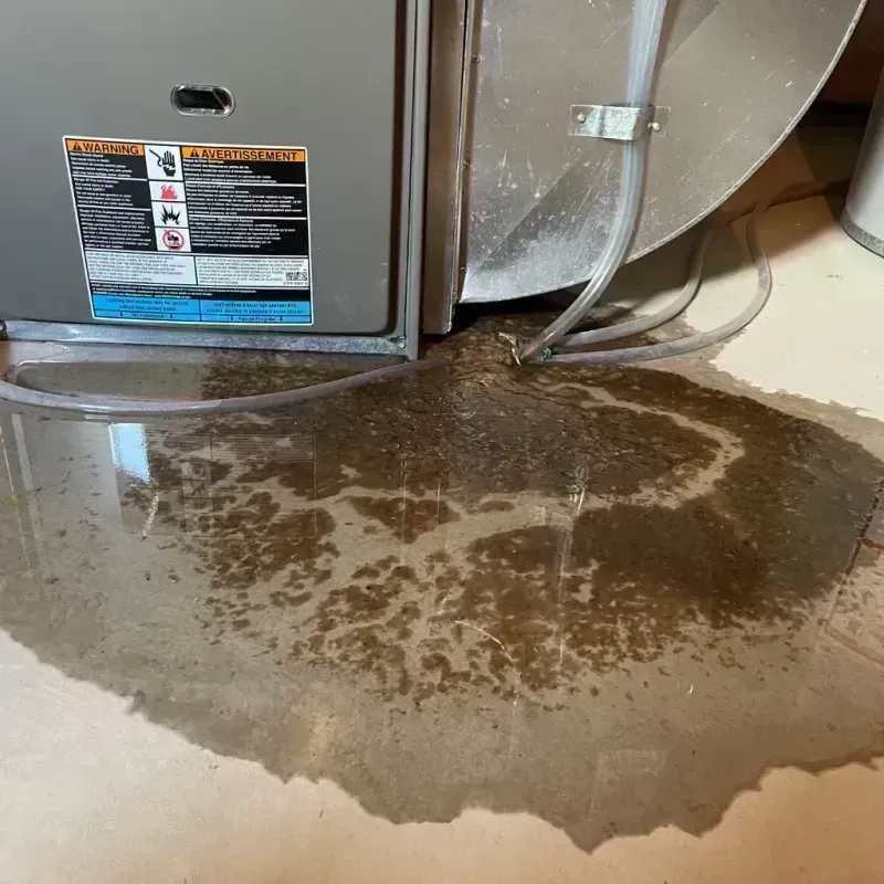 Appliance Leak Cleanup in Oglesby, IL